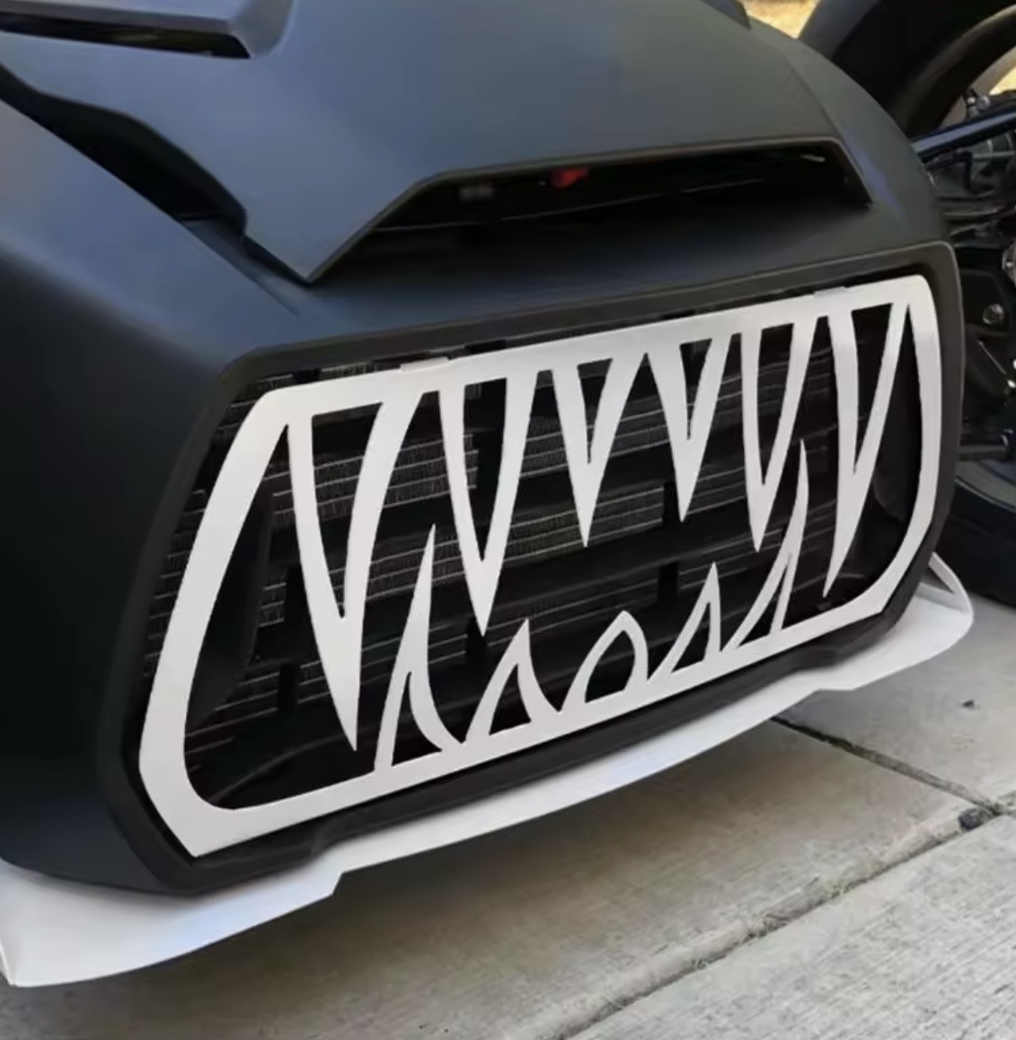 Kaxig grill till Can am ryker 600/900 - Svart/Vit 7 Kaxig grill till Can am ryker 600/900 - Svart/Vit - Bild 7